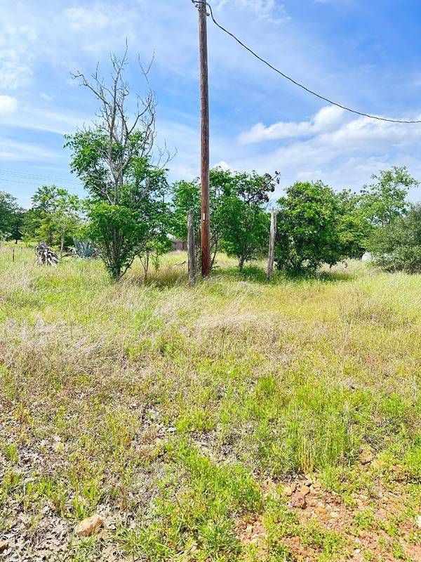 136A Wild Bird LOOP, Smithville, TX 78957