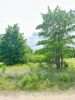 136A Wild Bird LOOP, Smithville, TX 78957