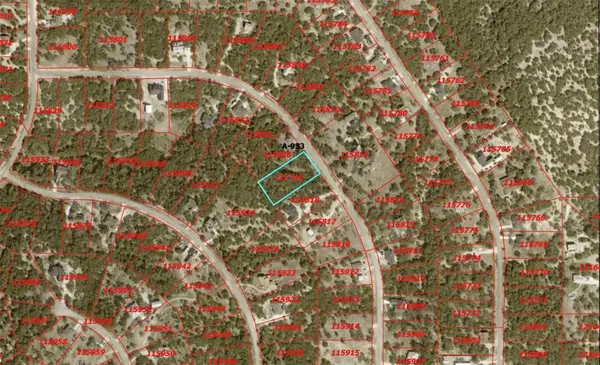 248 Kellog, Fischer, TX 78623