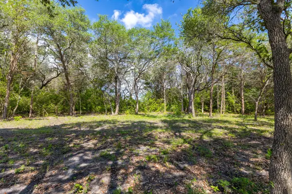 1910 (Tract #1) Baca LOOP, Flatonia, TX 78941