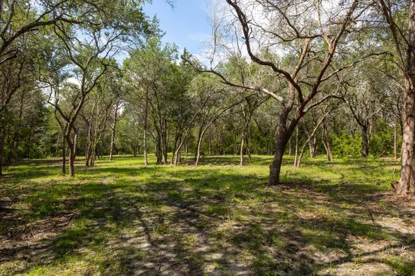 1910 (Tract #1) Baca LOOP, Flatonia, TX 78941