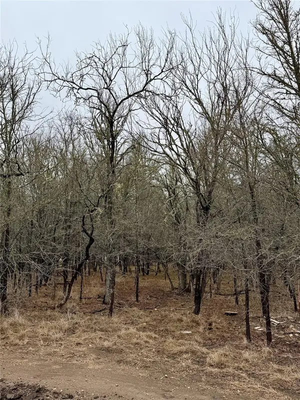 140 W Pauwela LN, Bastrop, TX 78602