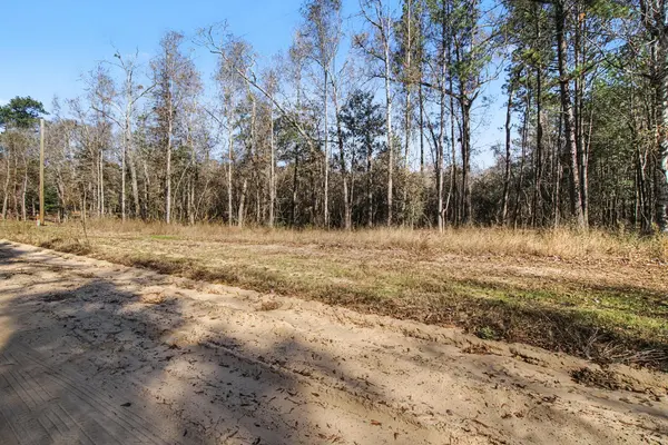 Tract 69 Northcrest DR, Livingston, TX 77351