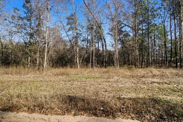 Tract 69 Northcrest DR, Livingston, TX 77351