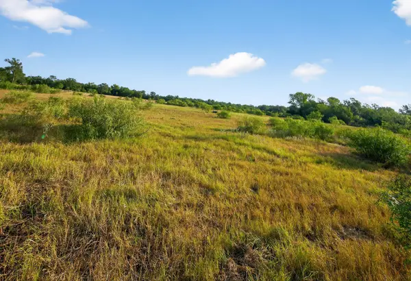 (TBD) 2959 FM 20 HWY, Red Rock, TX 78662