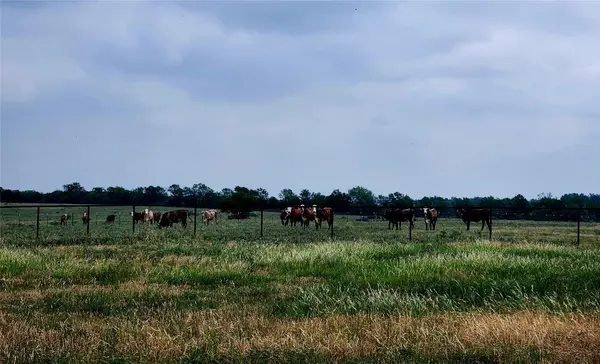 TBD County Road 446, Waelder, TX 78959