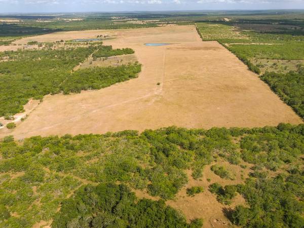TBD County Road 446, Waelder, TX 78959