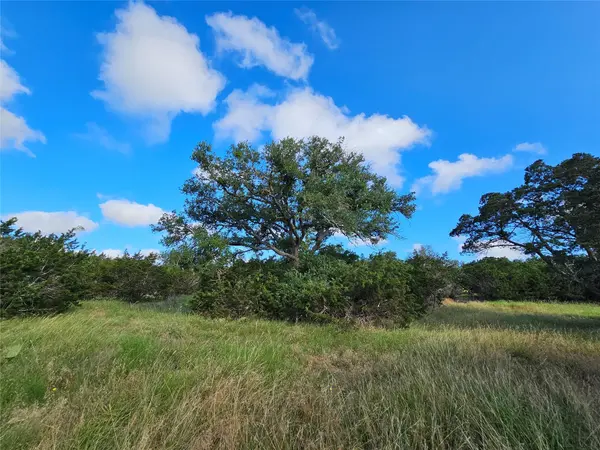 LOT 22 Riparian Elm RD, Bertram, TX 78605