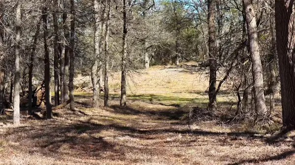 TBD Lytton LN, Dale, TX 78616