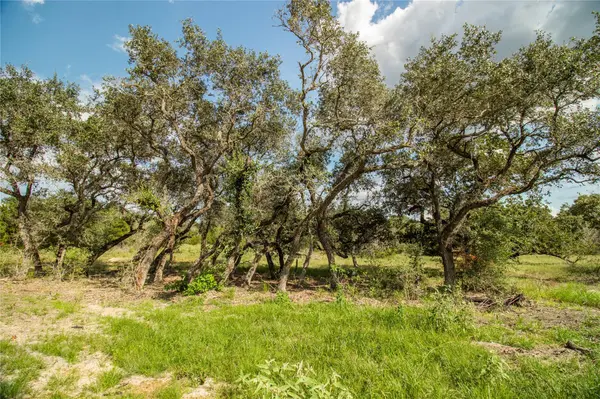 000 County Road 15, Hallettsville, TX 77964