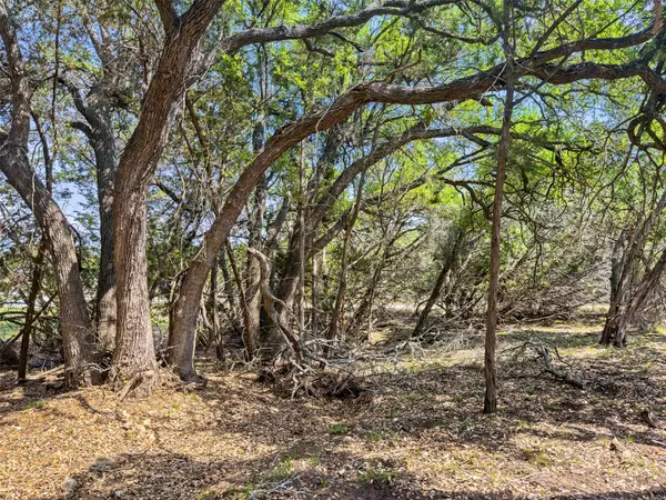 369 Onion Creek LN, Blanco, TX 78606