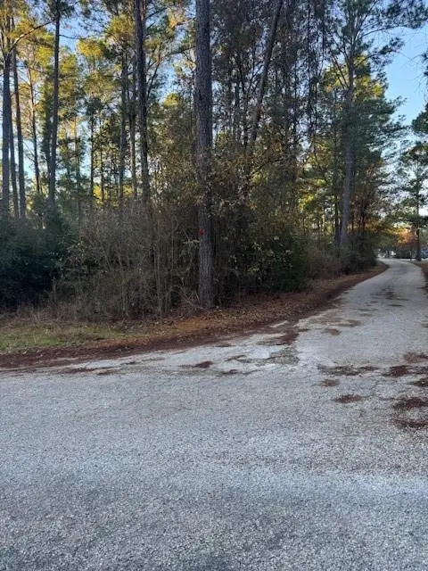 103 Lake Point WAY, Bastrop, TX 78602