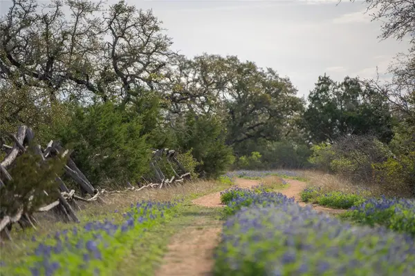 TBD Bell Springs RD, Dripping Springs, TX 78620