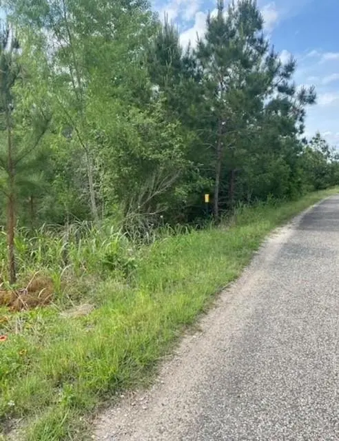 Lot 4 Kainalu LN, Bastrop, TX 78602