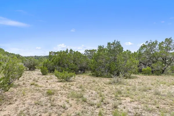 19401 Tessa Heights LN, Spicewood, TX 78669