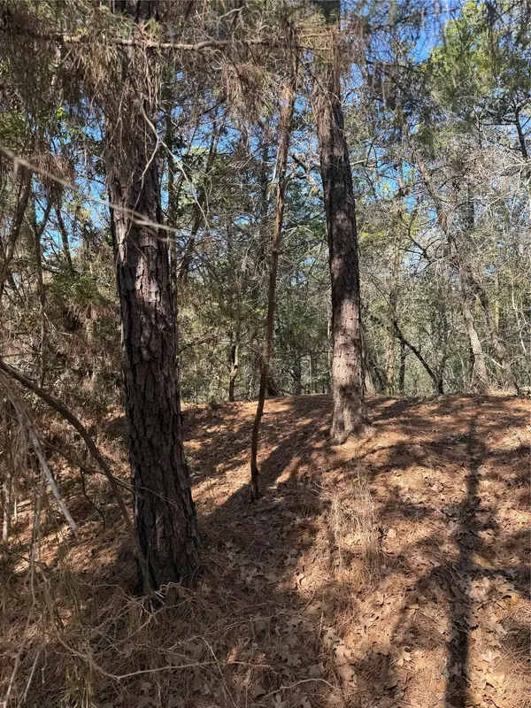 Lot 320 Keneka LN, Bastrop, TX 78602