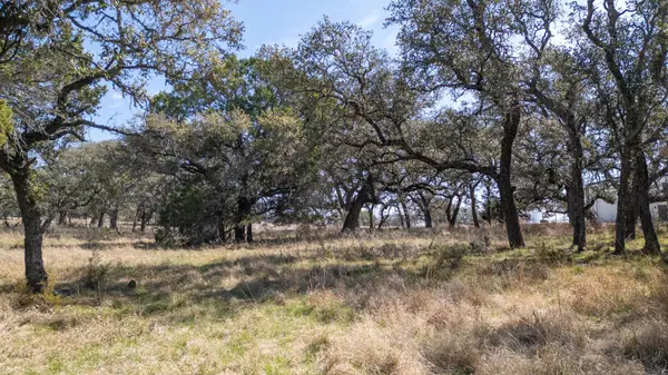 TBD Blackbuck Ridge DR, Lampasas, TX 76550