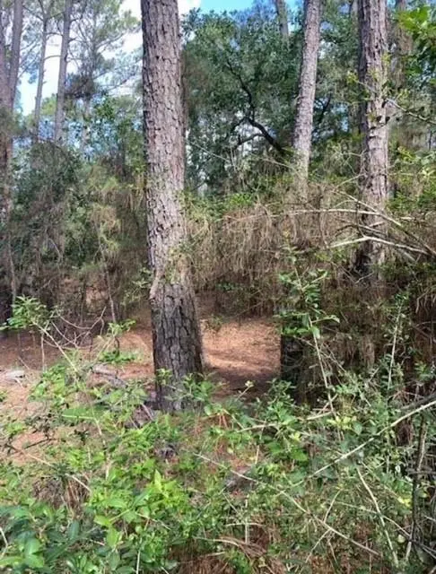 Lot 93 Papawai DR, Bastrop, TX 78602