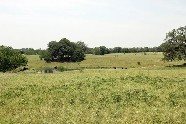 319 R C LN, Lockhart, TX 78644