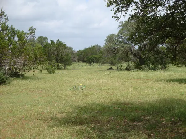1619 Althaus Ranch RD, Johnson City, TX 78636