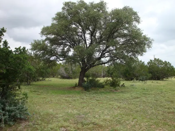 1619 Althaus Ranch RD, Johnson City, TX 78636