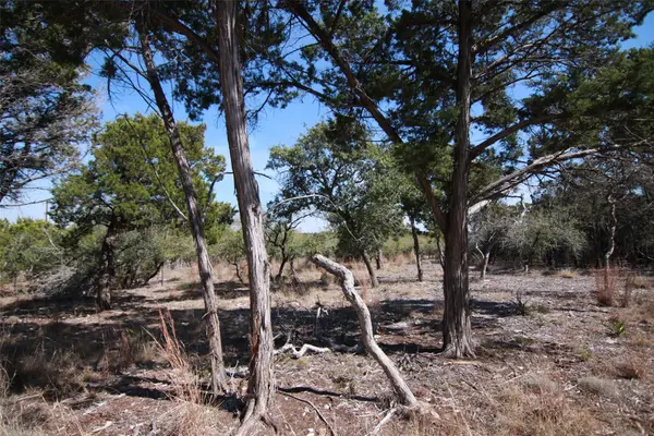 150 Patricks WAY, Dripping Springs, TX 78620