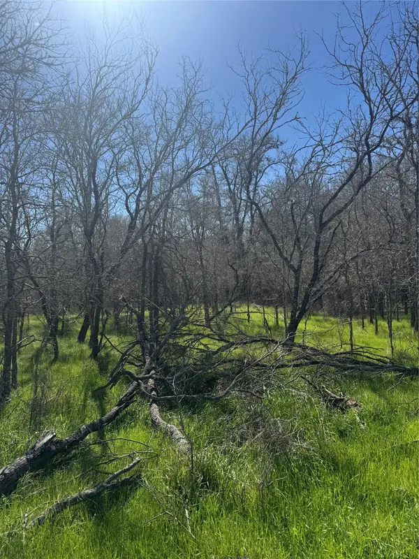 291 Kolekole LN, Bastrop, TX 78602
