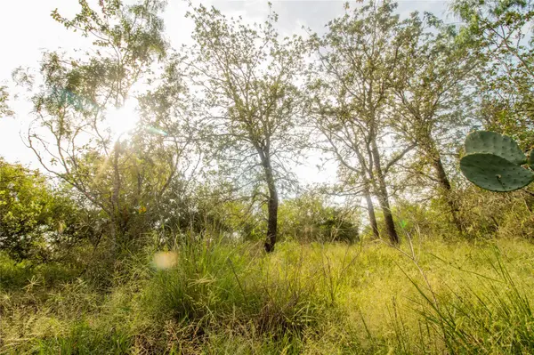6562 Cross RD, Seguin, TX 78155