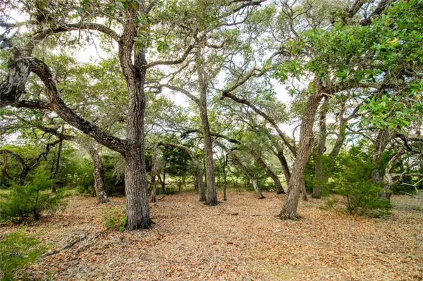 002 County Road 15, Hallettsville, TX 77964