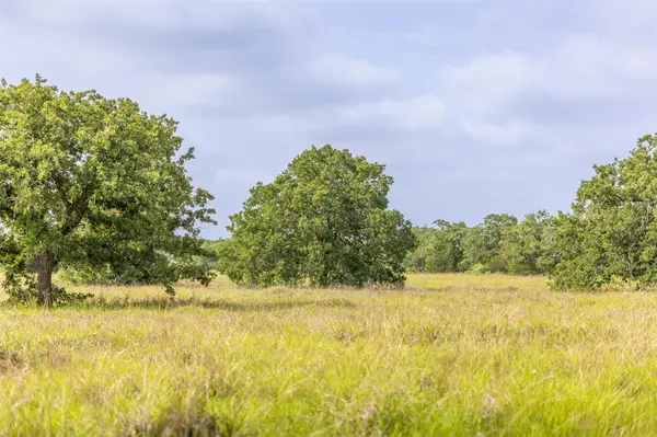 TBD US Highway 77 S, Giddings, TX 78942