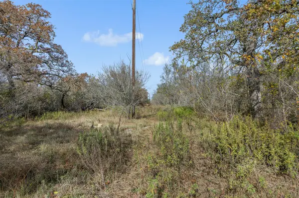 970 Bugtussle LN, Luling, TX 78648