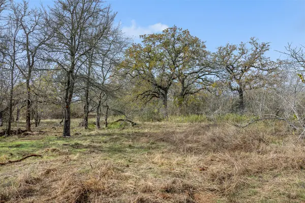 970 Bugtussle LN, Luling, TX 78648