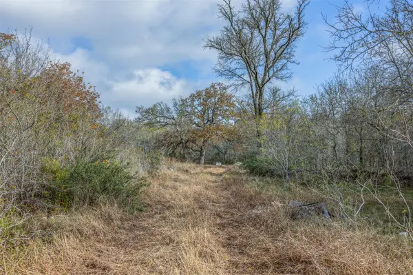 970 Bugtussle LN, Luling, TX 78648