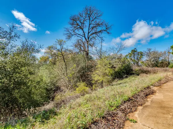 119 & 123 McCarthy DR, Bastrop, TX 78602