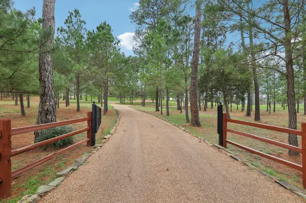 546 McAllister RD, Bastrop, TX 78602
