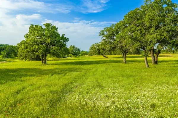 11079 Cr 266, Rochelle, TX 76872