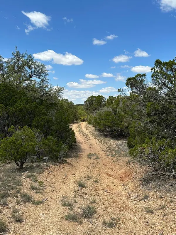 TBD County Road 529, Mullin, TX 76864