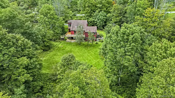 587 Dutch Hill RD, Roscoe, NY 12776