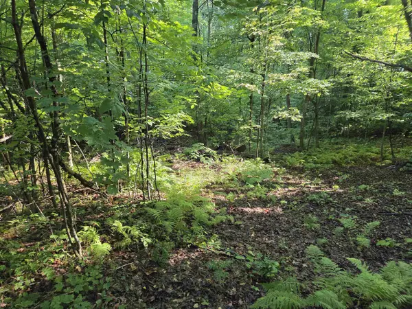 W SWEETHEART CITY RD, Middle Inlet, WI 54177