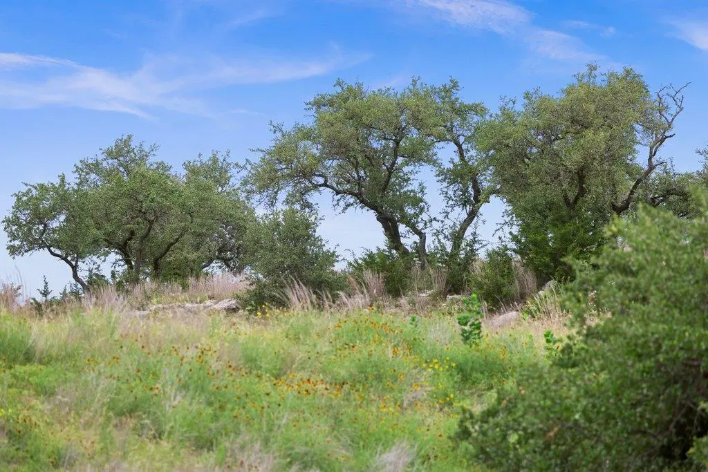 292 N Scenic Hills CT, Blanco, TX 78606