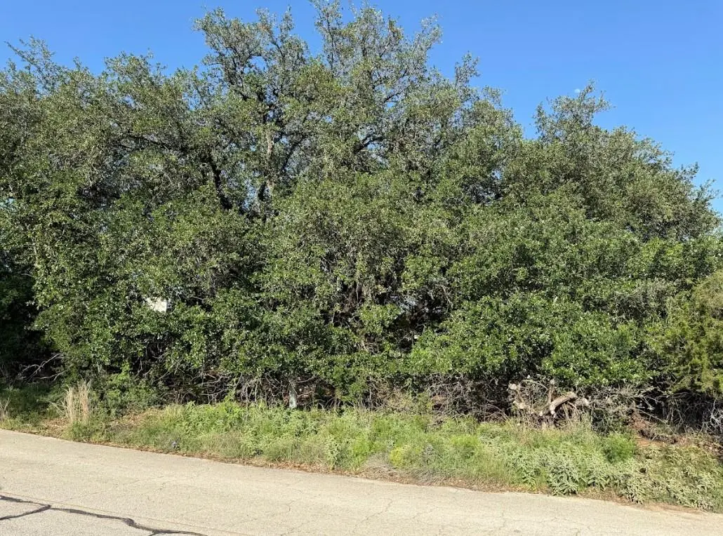 4209 Rockwood DR, Lago Vista, TX 78645