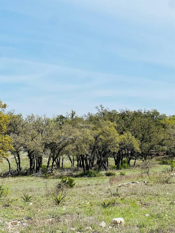 Lot 8 W Flying Owl DR, Johnson City, TX 78636