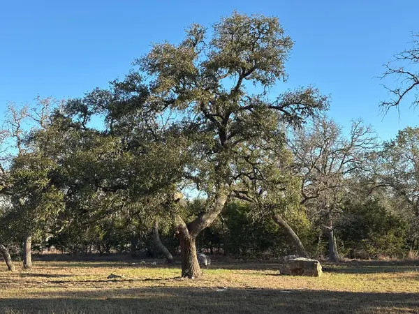 944 Fm 3351, Boerne, TX 78006
