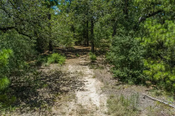 492 S Old Potato RD, Paige, TX 78659