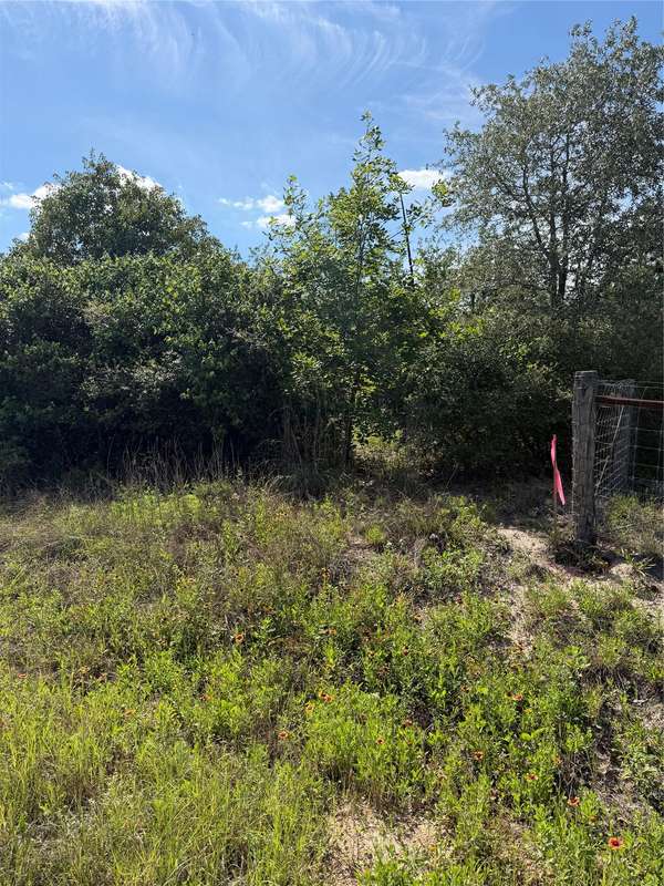 TBD Mockingbird LN, Bastrop, TX 78602