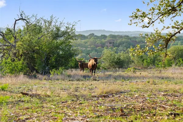 Private Road #10 Pedernales Canyon TRL, Spicewood, TX 78669
