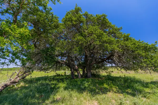 Address not disclosed, Purmela, TX 76566
