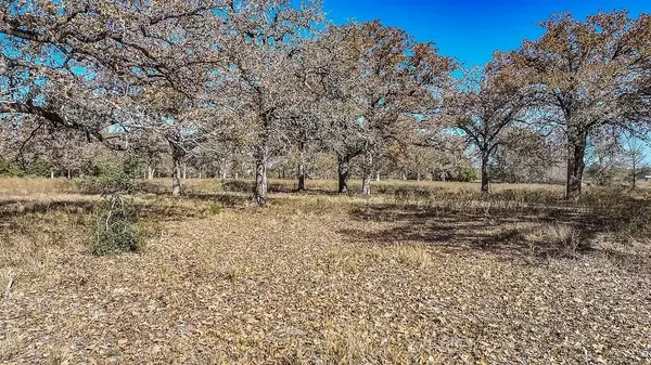 TBD State Highway 71, La Grange, TX 78945