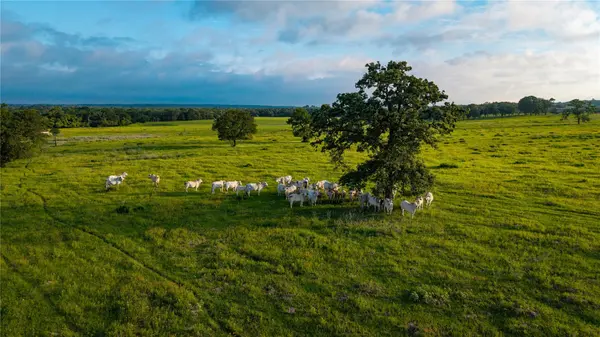 000 Hofferek RD, Rosanky, TX 78953