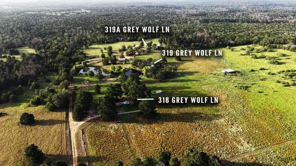 318 Grey Wolf LN, Bastrop, TX 78602
